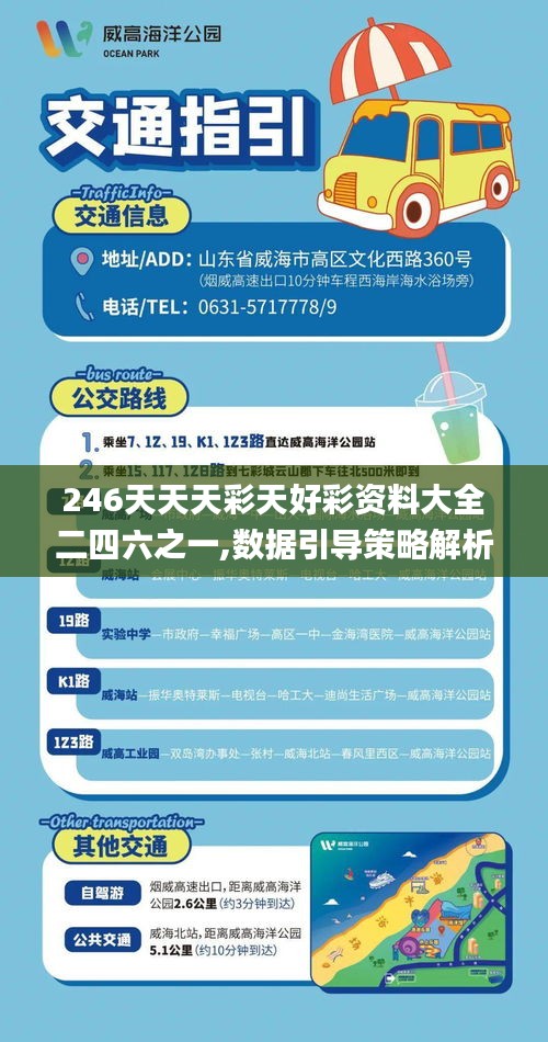 246天天天彩天好彩資料大全二四六之一,數(shù)據(jù)引導(dǎo)策略解析_限量版7.129