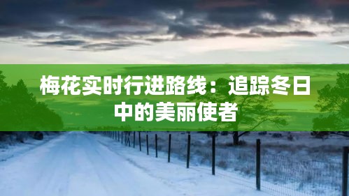 梅花實(shí)時(shí)行進(jìn)路線：追蹤冬日中的美麗使者