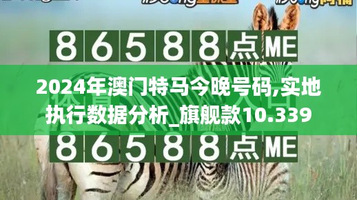 2024年澳門特馬今晚號(hào)碼,實(shí)地執(zhí)行數(shù)據(jù)分析_旗艦款10.339