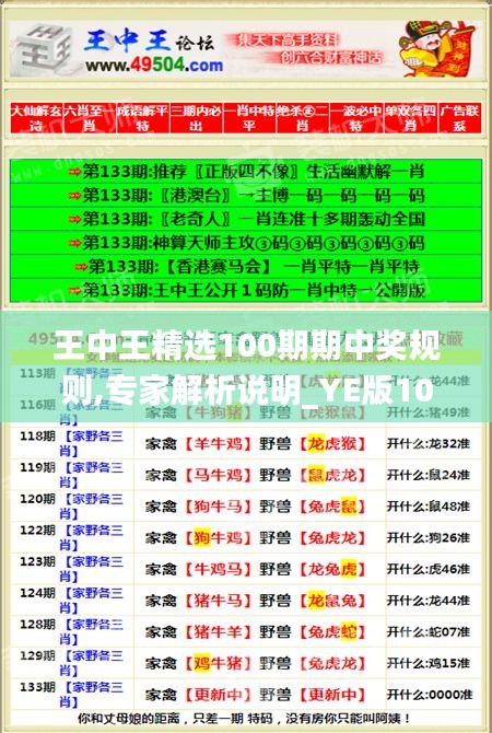 王中王精選100期期中獎(jiǎng)規(guī)則,專家解析說明_YE版10.839