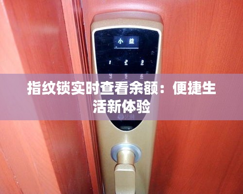 指紋鎖實時查看余額:便捷生活新體驗