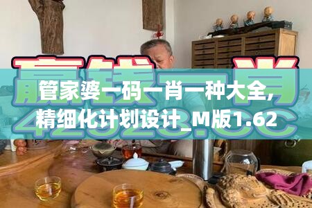 管家婆一碼一肖一種大全,精細(xì)化計(jì)劃設(shè)計(jì)_M版1.625