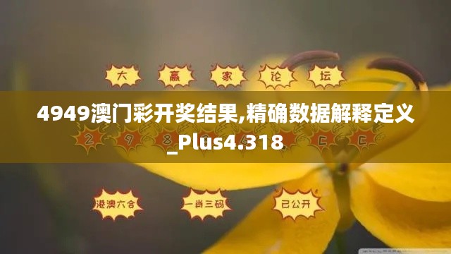 4949澳門(mén)彩開(kāi)獎(jiǎng)結(jié)果,精確數(shù)據(jù)解釋定義_Plus4.318