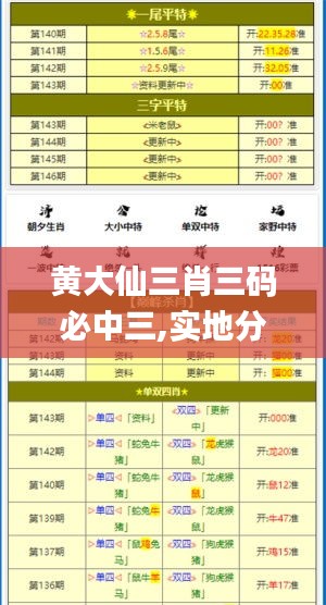 黃大仙三肖三碼必中三,實地分析數(shù)據(jù)設計_優(yōu)選版3.689