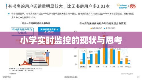 小學(xué)實(shí)時(shí)監(jiān)控的現(xiàn)狀與思考