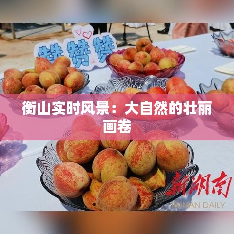 衡山實時風景：大自然的壯麗畫卷