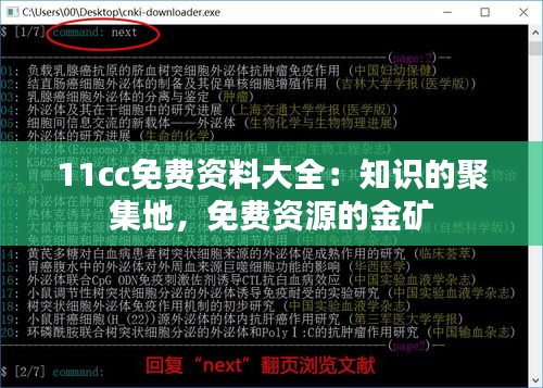 11cc免費資料大全：知識的聚集地，免費資源的金礦