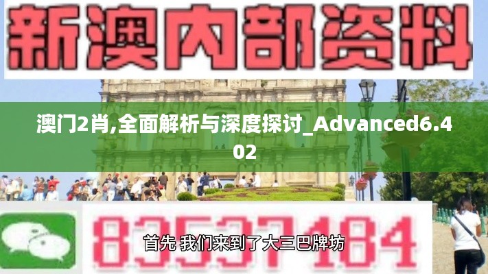 澳門2肖,全面解析與深度探討_Advanced6.402