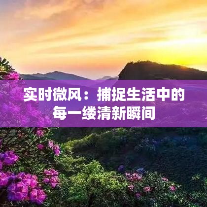 實(shí)時(shí)微風(fēng)：捕捉生活中的每一縷清新瞬間