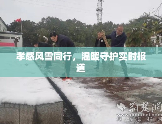 孝感風雪同行，溫暖守護實時報道