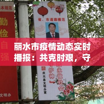 麗水市疫情動態(tài)實時播報：共克時艱，守護家園