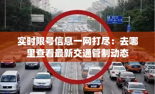 實時限號信息一網(wǎng)打盡:去哪里查看最新交通管制動態(tài)