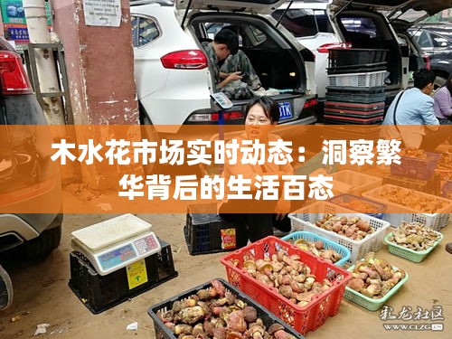 木水花市場(chǎng)實(shí)時(shí)動(dòng)態(tài)：洞察繁華背后的生活百態(tài)