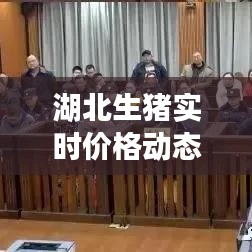 湖北生豬實(shí)時(shí)價(jià)格動(dòng)態(tài)解析：市場(chǎng)波動(dòng)與影響因素