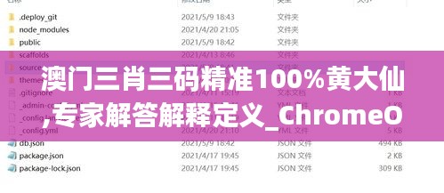 澳門(mén)三肖三碼精準(zhǔn)100%黃大仙,專(zhuān)家解答解釋定義_ChromeOS7.883