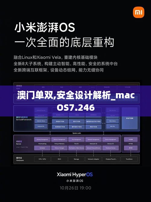 澳門單雙,安全設(shè)計解析_macOS7.246