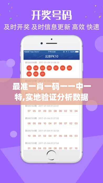 最準一肖一碼一一中一特,實地驗證分析數(shù)據(jù)_蘋果6.254