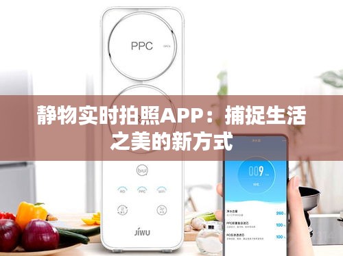 靜物實時拍照APP：捕捉生活之美的新方式