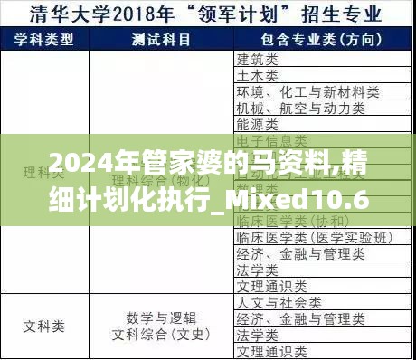2024年管家婆的馬資料,精細(xì)計(jì)劃化執(zhí)行_Mixed10.638