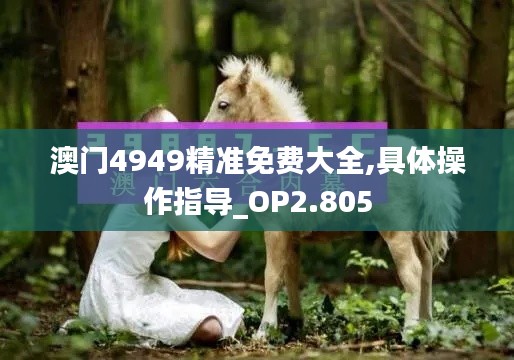 澳門4949精準免費大全,具體操作指導(dǎo)_OP2.805