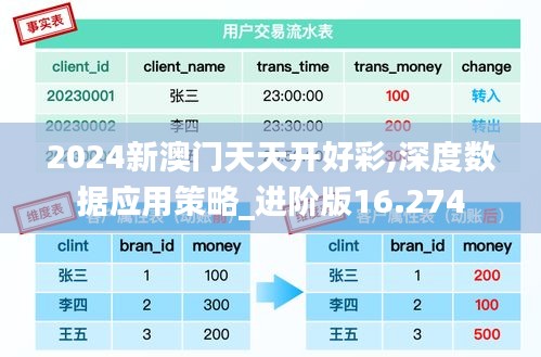 2024新澳門天天開好彩,深度數(shù)據(jù)應(yīng)用策略_進階版16.274