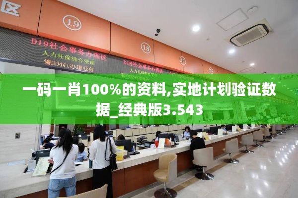 一碼一肖100%的資料,實地計劃驗證數(shù)據(jù)_經(jīng)典版3.543