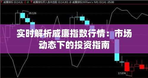 實(shí)時(shí)解析威廉指數(shù)行情:市場(chǎng)動(dòng)態(tài)下的投資指南