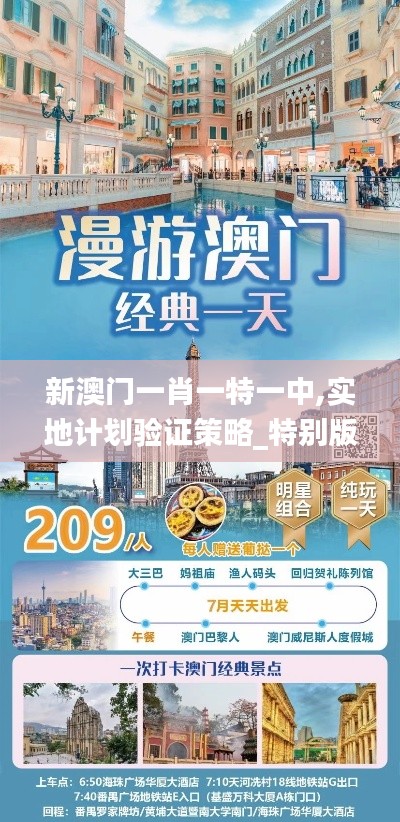 新澳門一肖一特一中,實地計劃驗證策略_特別版8.382