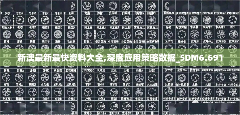 新澳最新最快資料大全,深度應用策略數(shù)據(jù)_5DM6.691