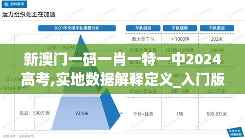 新澳門一碼一肖一特一中2024高考,實(shí)地?cái)?shù)據(jù)解釋定義_入門版1.603