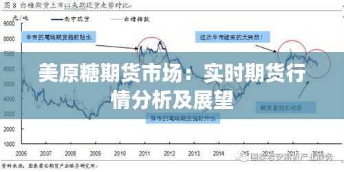 美原糖期貨市場(chǎng)：實(shí)時(shí)期貨行情分析及展望