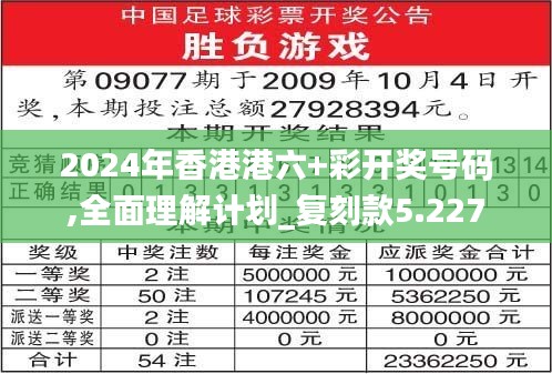 2024年香港港六+彩開獎號碼,全面理解計劃_復刻款5.227
