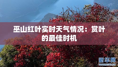 巫山紅葉實(shí)時(shí)天氣情況：賞葉的最佳時(shí)機(jī)