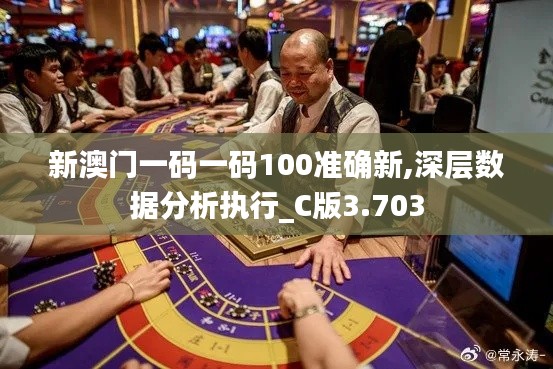 新澳門一碼一碼100準確新,深層數(shù)據分析執(zhí)行_C版3.703
