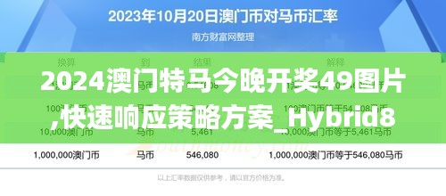 2024澳門(mén)特馬今晚開(kāi)獎(jiǎng)49圖片,快速響應(yīng)策略方案_Hybrid8.151