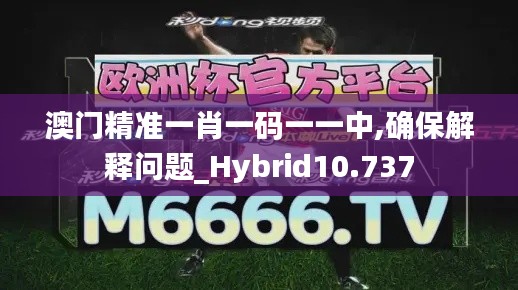澳門精準(zhǔn)一肖一碼一一中,確保解釋問(wèn)題_Hybrid10.737