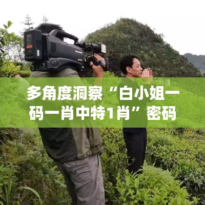 多角度洞察“白小姐一碼一肖中特1肖”密碼的奧秘與價(jià)值