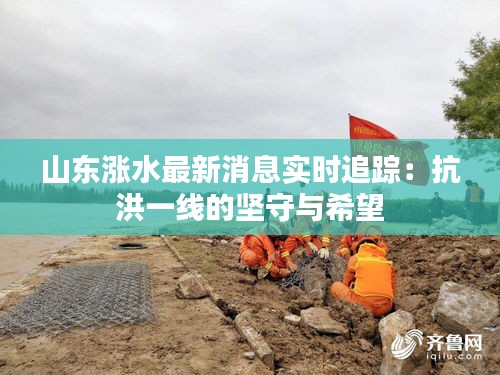 山東漲水最新消息實(shí)時追蹤：抗洪一線的堅(jiān)守與希望