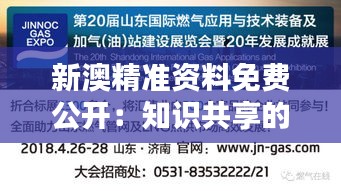 新澳精準(zhǔn)資料免費公開：知識共享的價值體現(xiàn)