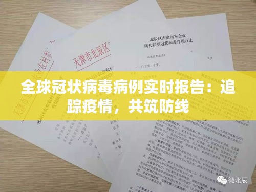 全球冠狀病毒病例實時報告：追蹤疫情，共筑防線