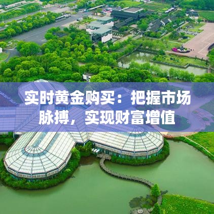 實時黃金購買:把握市場脈搏,實現(xiàn)財富增值