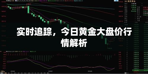 實(shí)時(shí)追蹤，今日黃金大盤(pán)價(jià)行情解析
