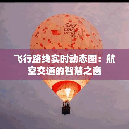 飛行路線實時動態(tài)圖：航空交通的智慧之窗