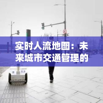 實(shí)時(shí)人流地圖：未來(lái)城市交通管理的智慧之眼
