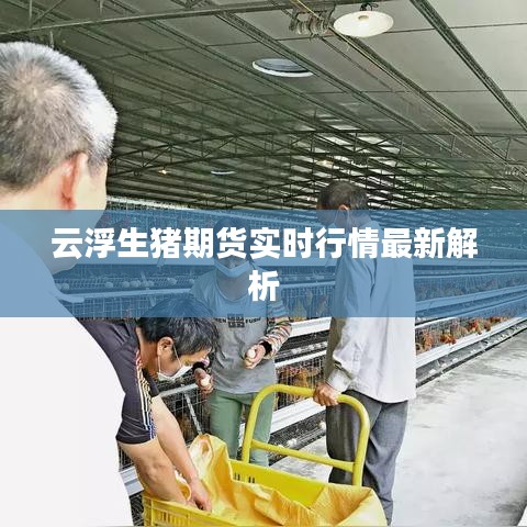 云浮生豬期貨實(shí)時行情最新解析