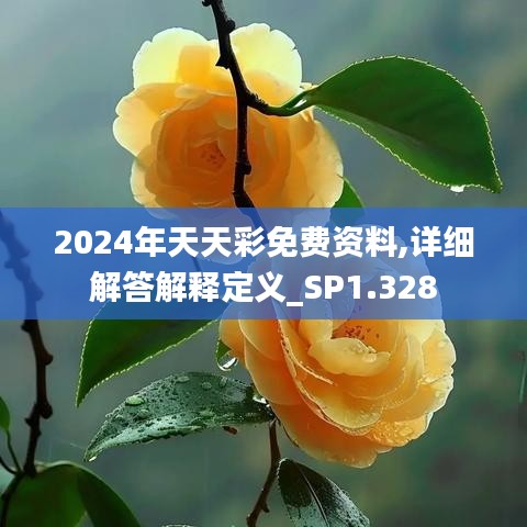 2024年天天彩免費(fèi)資料,詳細(xì)解答解釋定義_SP1.328