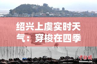 紹興上虞實時天氣：穿梭在四季之間的自然畫卷