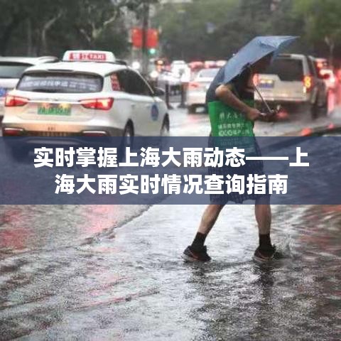 實(shí)時(shí)掌握上海大雨動(dòng)態(tài)——上海大雨實(shí)時(shí)情況查詢指南
