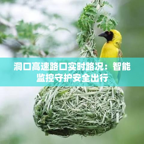 洞口高速路口實時路況：智能監(jiān)控守護安全出行