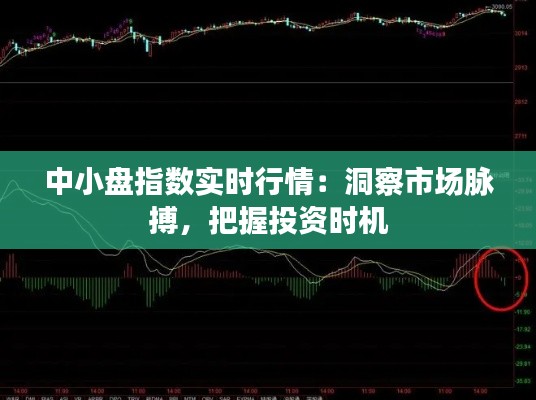 中小盤(pán)指數(shù)實(shí)時(shí)行情：洞察市場(chǎng)脈搏，把握投資時(shí)機(jī)